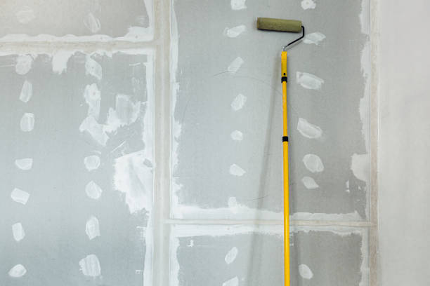 Best Emergency Mold Remediation  in East Providence, RI